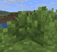minecraft bush